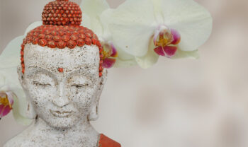 Terah Collins statue flower Buddha feng shui