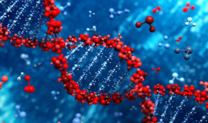 DNA red Ross Pelton Regactiv