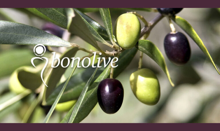 Bonolive: Building Healthy Bones from Diem Labs - Danielle Lin Show