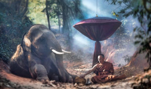 Elephant mahout hammock India smoke Wayne Dyer