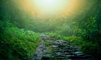 June-Elleni Laine psychic