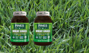 pines wheat grass landing