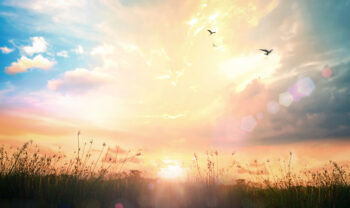 Andi Buehlah Fragile Thread