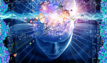 Pycnogenol brain fog