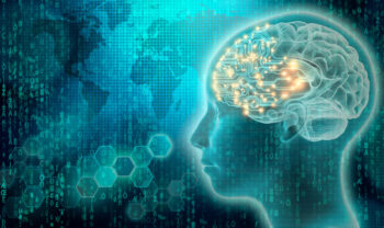 Steven Lamm Pycnogenol