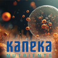 Kaneka Ubiquinol