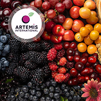artemis 200x200